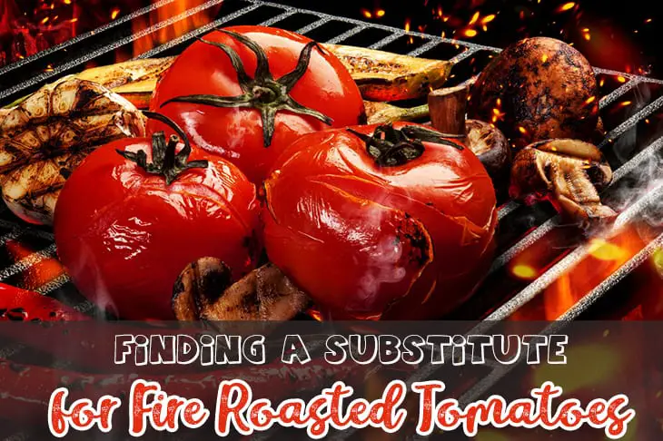 Finding A Substitute for Fire Roasted Tomatoes: 8 Superb Ideas