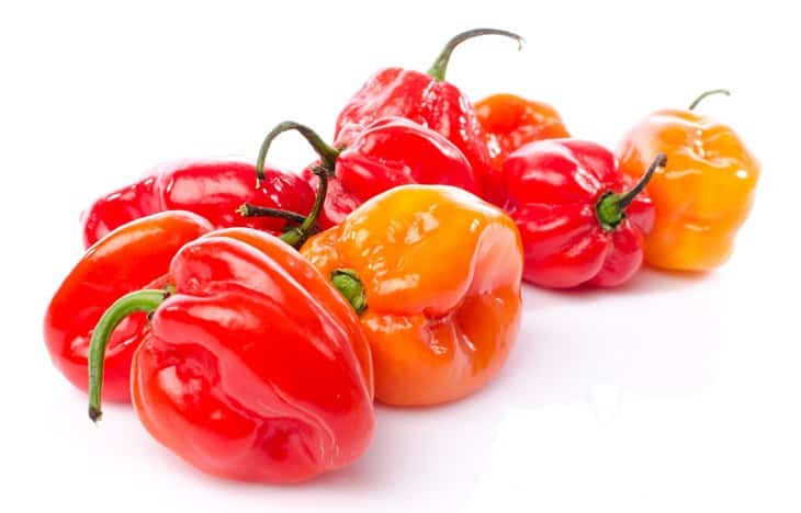 Habanero Pepper Substitutes For Jalapenos