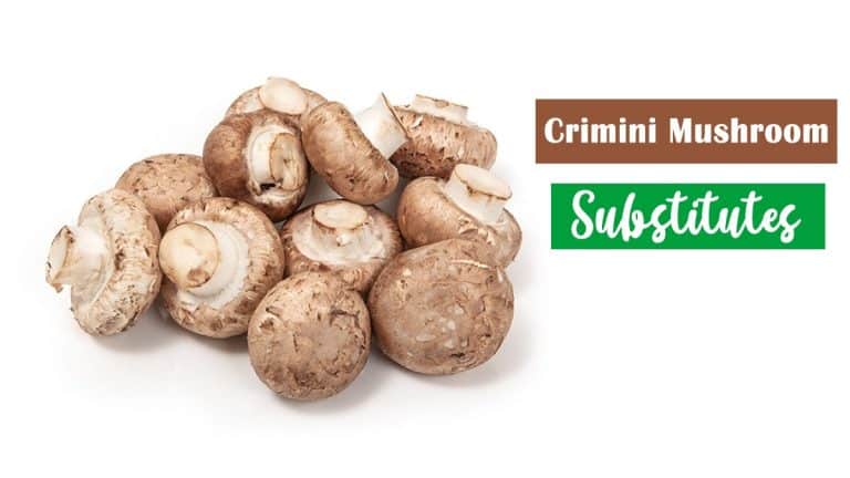 The Best Simple Crimini Mushroom Substitutes