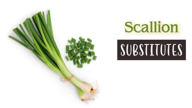 What Are The Best Scallion Substitutes? How To Cook Them Right?