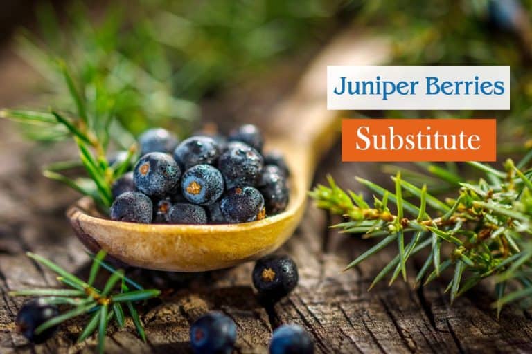 Top 14 Amazing Juniper Berries Substitutes (Recommended By Chefs)