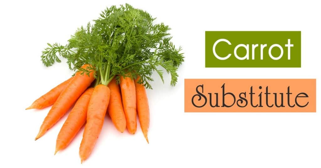 Best Carrot Substitutes The List of 8 Alternatives For Your Recipes