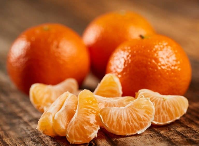 Orange Zest Substitute Best By Professionals