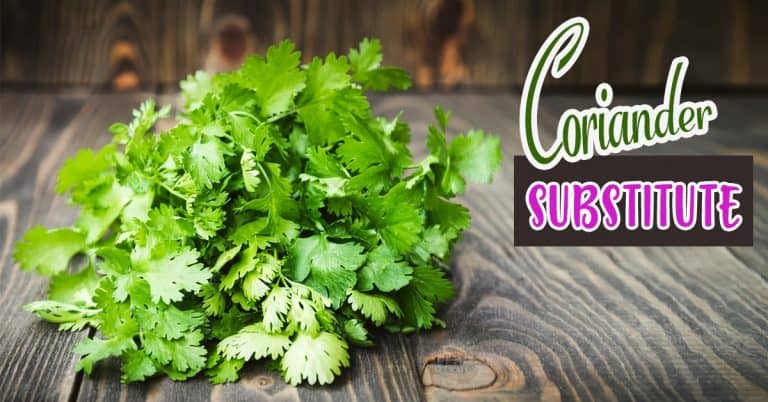 Substitute For Coriander – 16 Options To Spice Up Your Dish