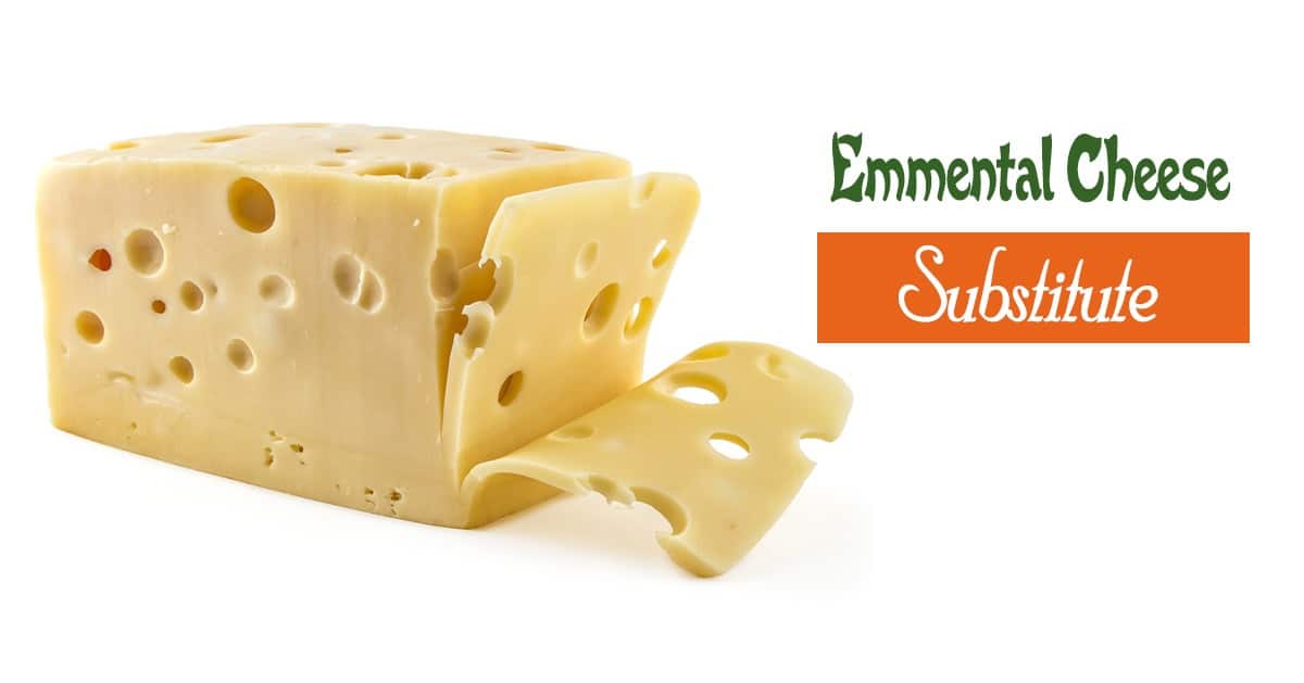 Emmental Cheese Substitute – 15 Options That Can Surprise You