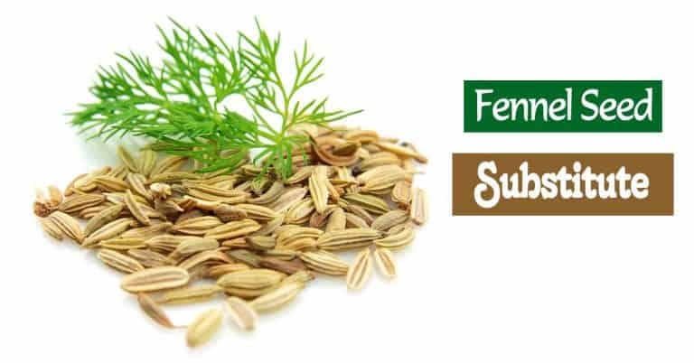 13 Fennel Seed Substitute Ideas – Go For Seeds Or Liquid?