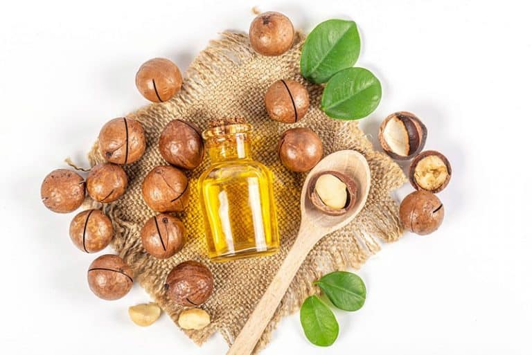 14 Peanut Oil Substitute Ingredients That You Can Easily Find