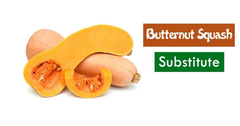 11 Substitutes For Butternut Squash To Warm Up Your Tummy