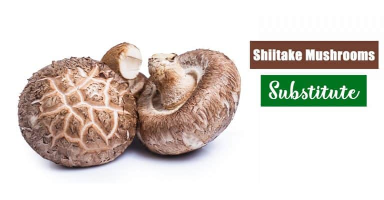 List of 15 Substitute for Shiitake Mushrooms: What and How