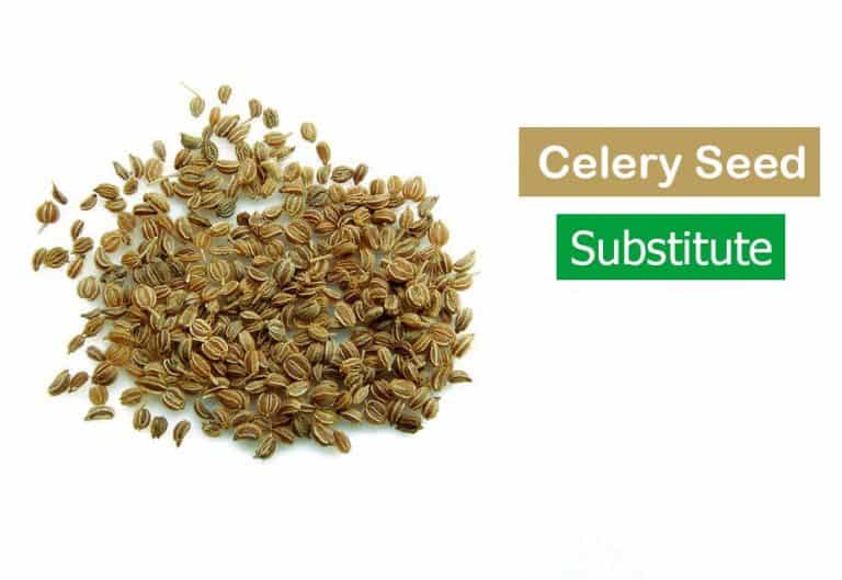 20 Best Celery Seed Substitute Ideas